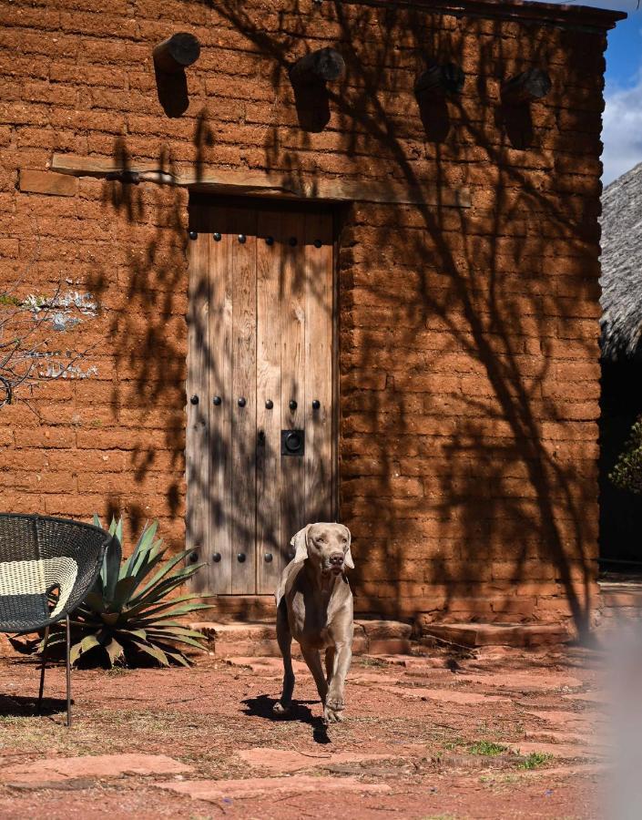 Casa Regina Oaxaca Villa San Pablo Villa de Mitla Exterior foto