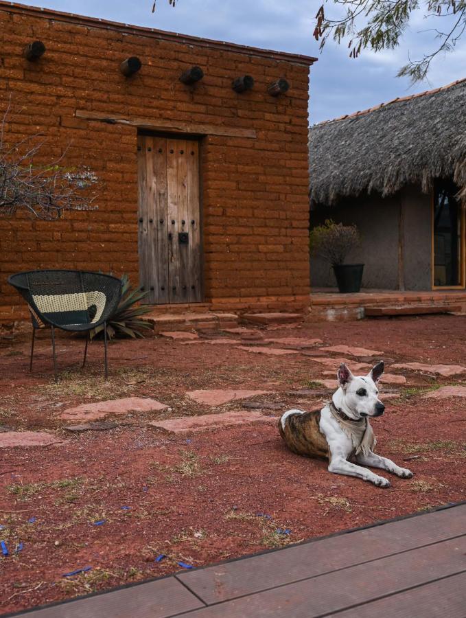 Casa Regina Oaxaca Villa San Pablo Villa de Mitla Exterior foto