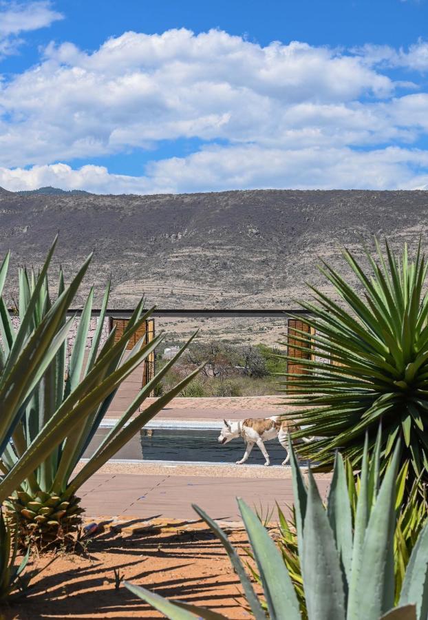 Casa Regina Oaxaca Villa San Pablo Villa de Mitla Exterior foto